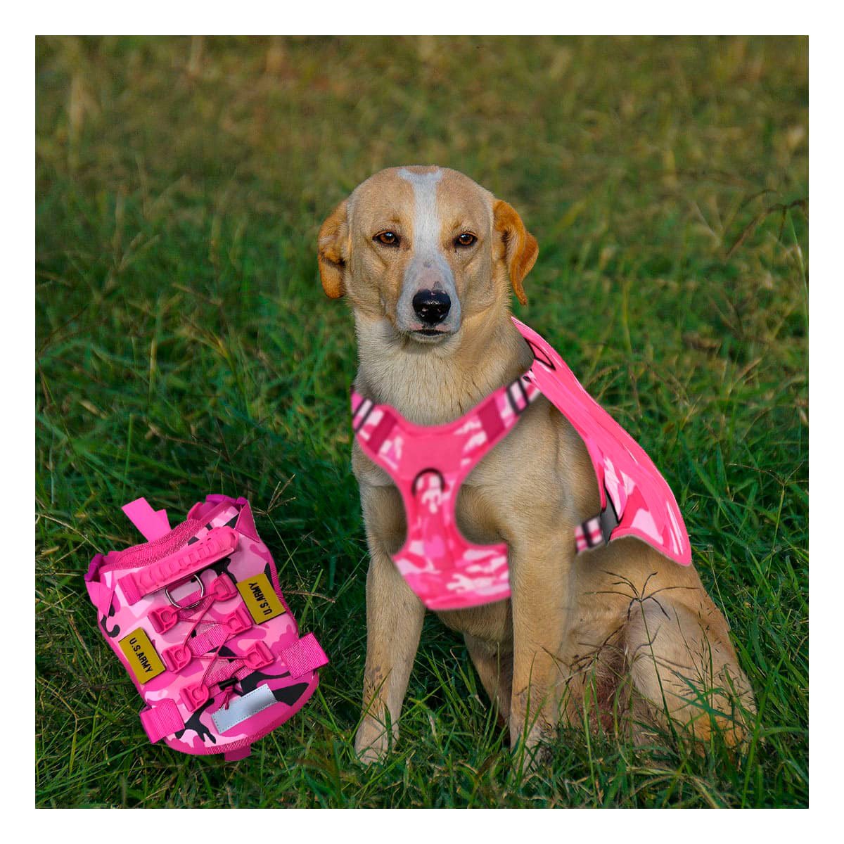 PACK4 PRETAL CANINO TACTICO ROSADO TALLA M CHALECOS RESISTENTES Y+PAPEL REGALO - 5