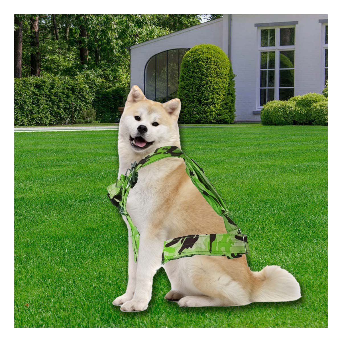 PACK2 PECHERA AJUSTABLE DOG STRONG VERDE CLARO TALLA S PARA PERRO Y+PAPEL REGALO - 5