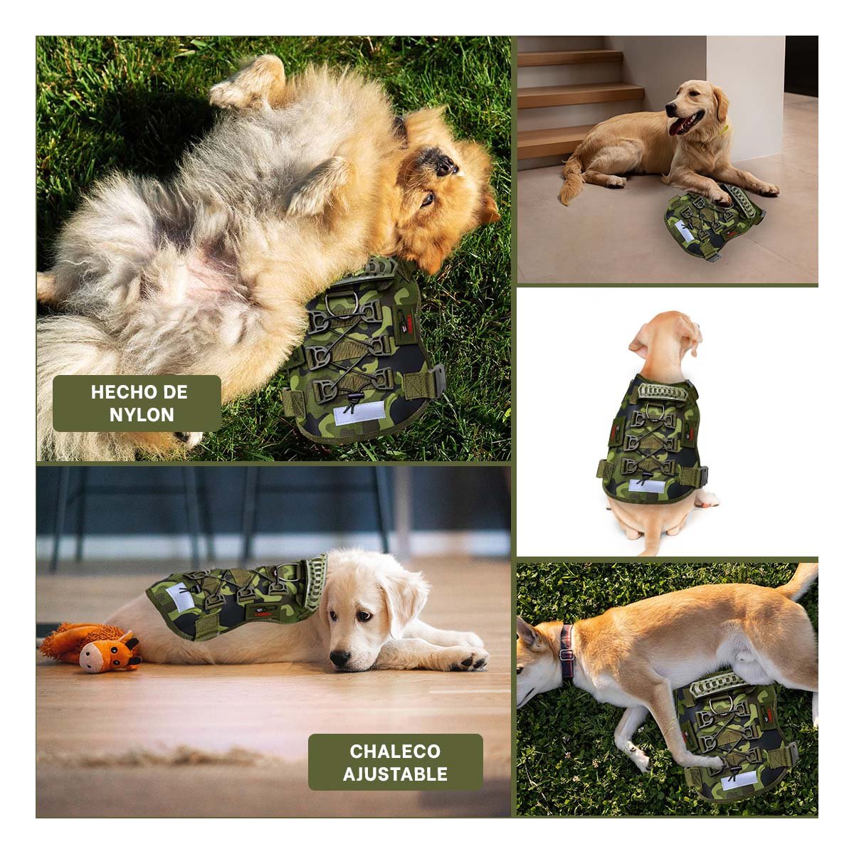 EQUIPO CANINO VERDE OSCURO TALLA M MODELO TACTICO DURABLE - 5