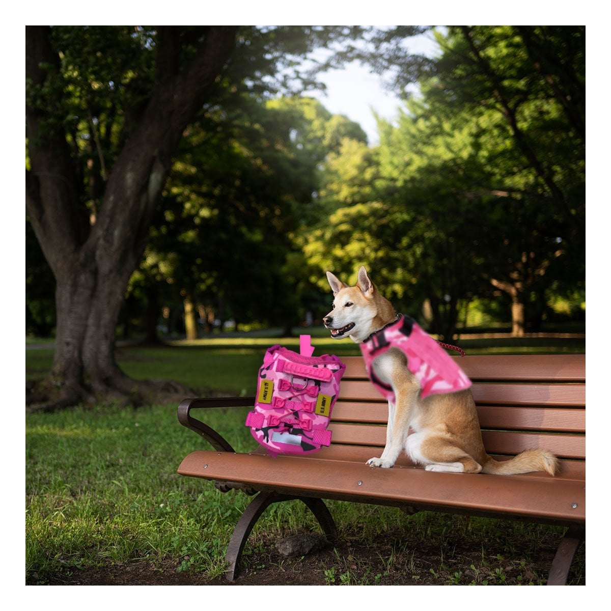PACK4 PECHERA CANINA TACTICA ROSADA TALLA M CHALECOS COMODOS - 3