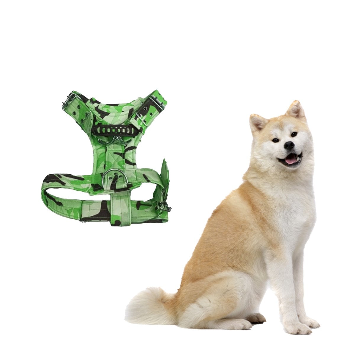 ARNES RESISTENTE DOG STRONG VERDE CLARO TALLA S FIRME Y+LIGAS REGALO - 3