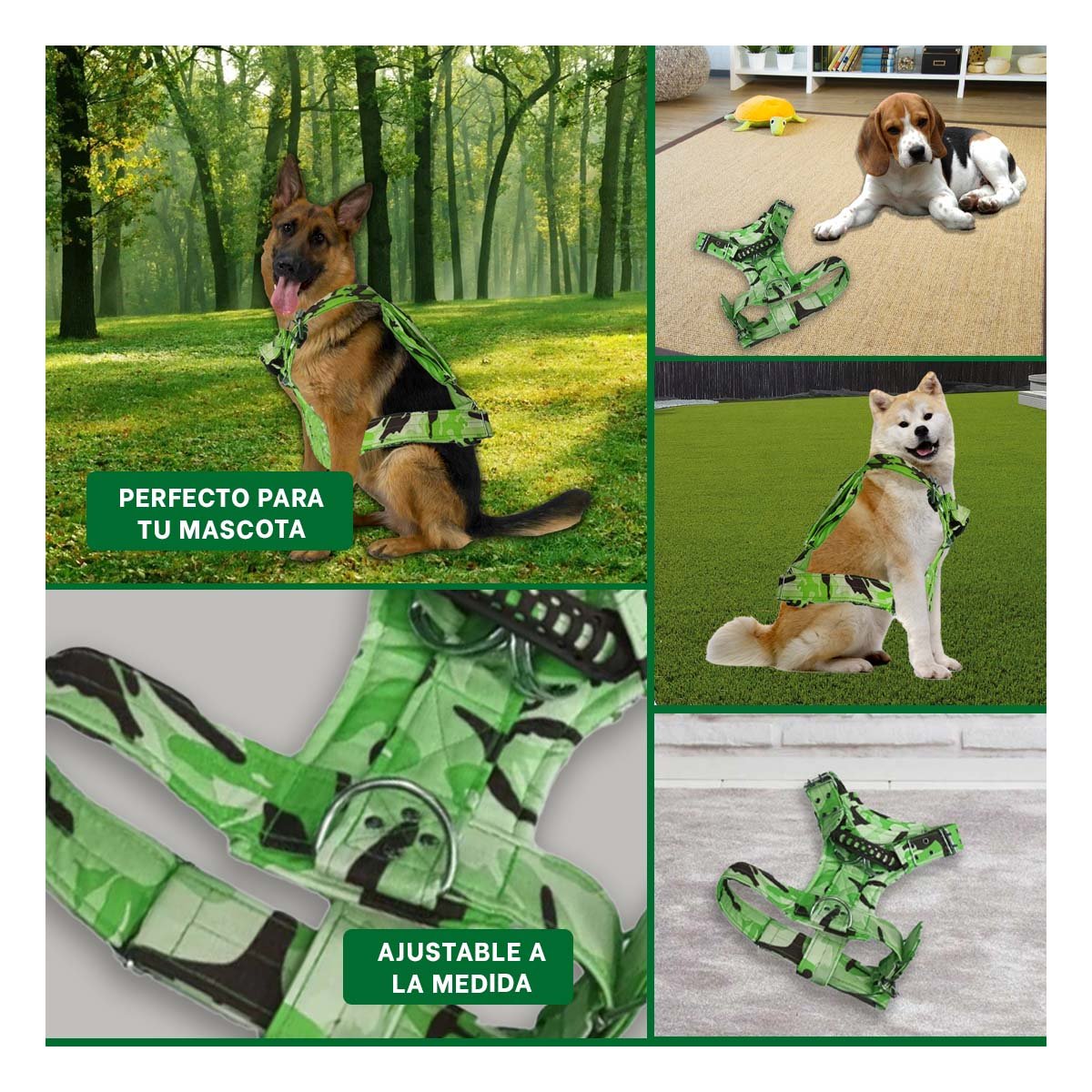ARNES RESISTENTE DOG STRONG VERDE CLARO TALLA S FIRME Y+LIGAS REGALO - 5
