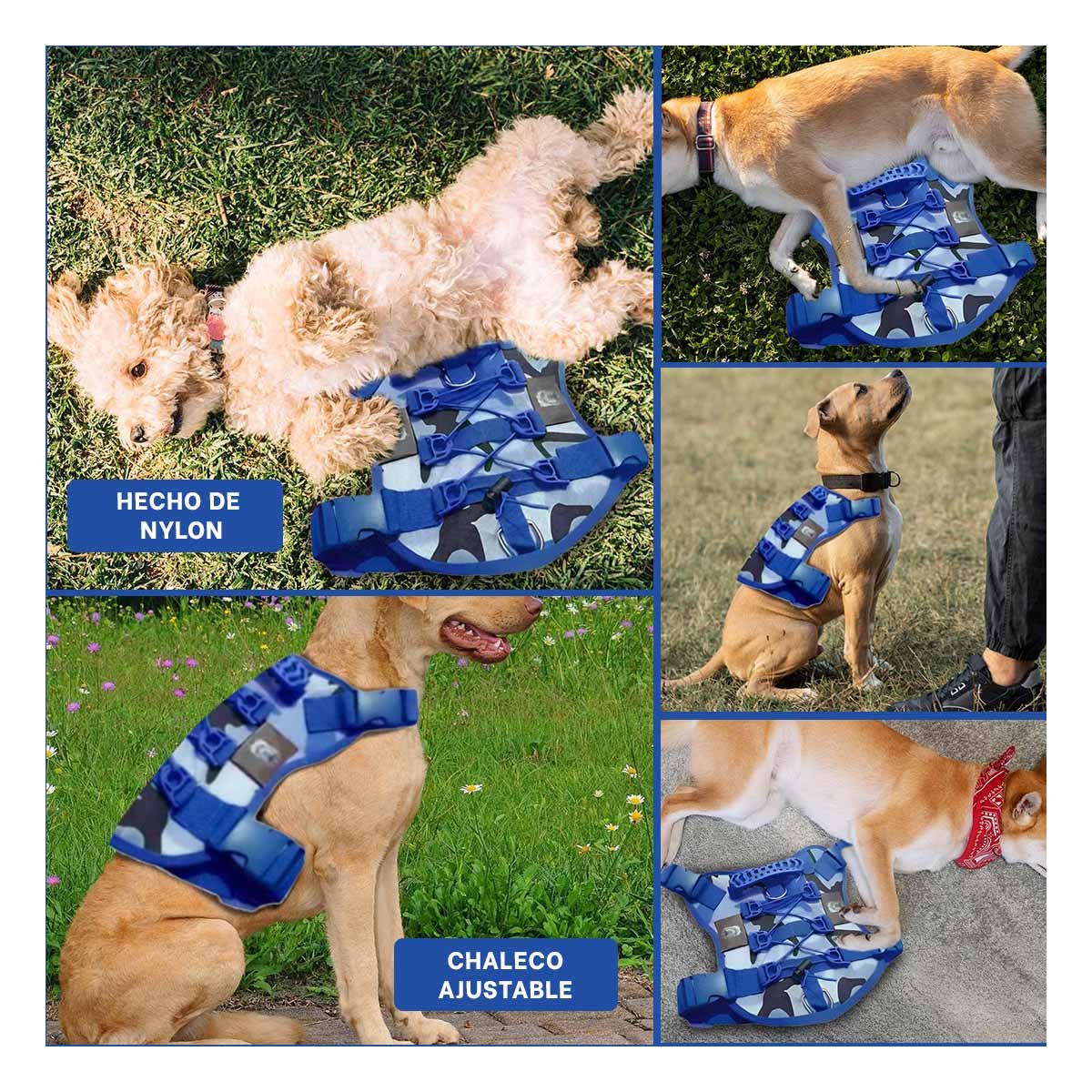 PROTECTOR RESISTENTE PARA PERRO AZUL TALLA M ESTILO TACTICO Y+POST IT - 5