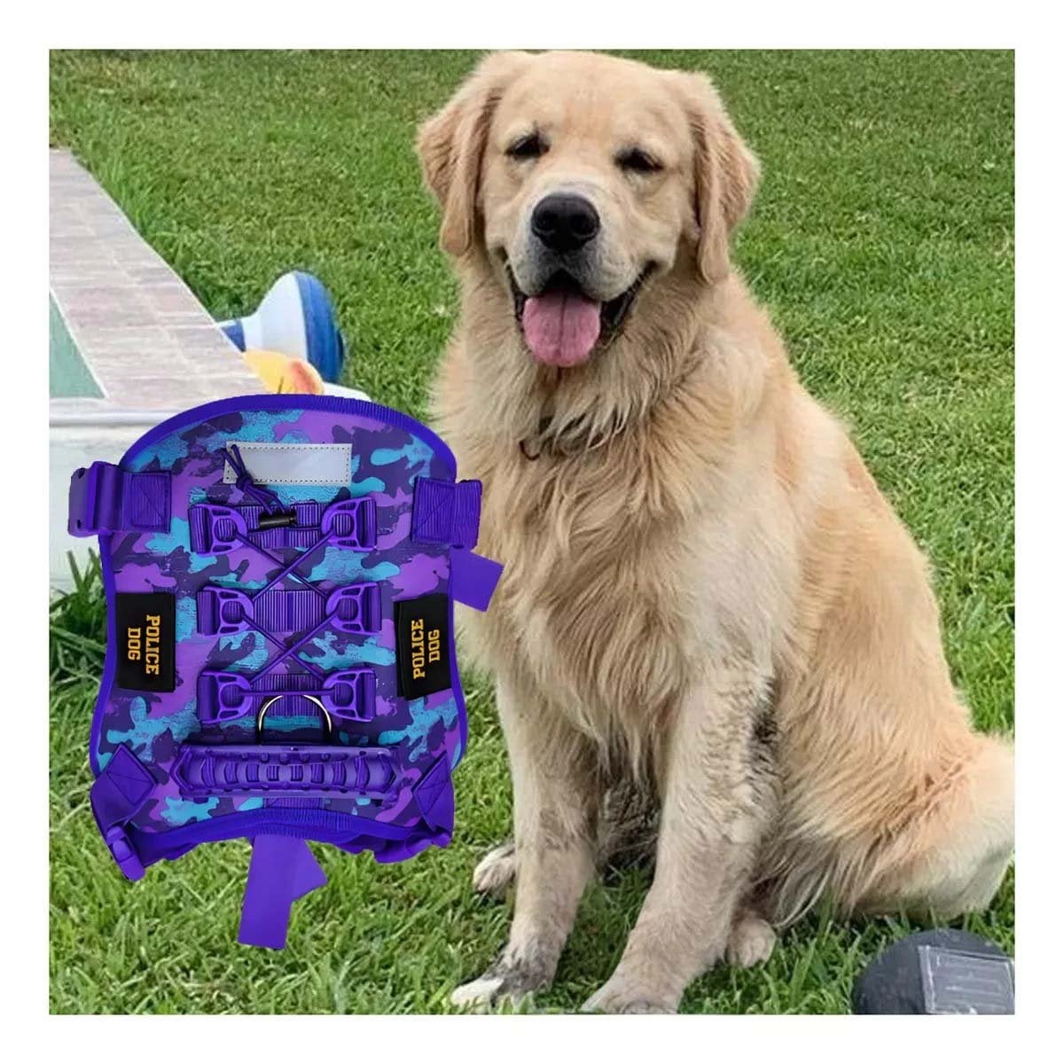 EQUIPO CANINO MORADO TALLA S MODELO TACTICO DURABLE - 2