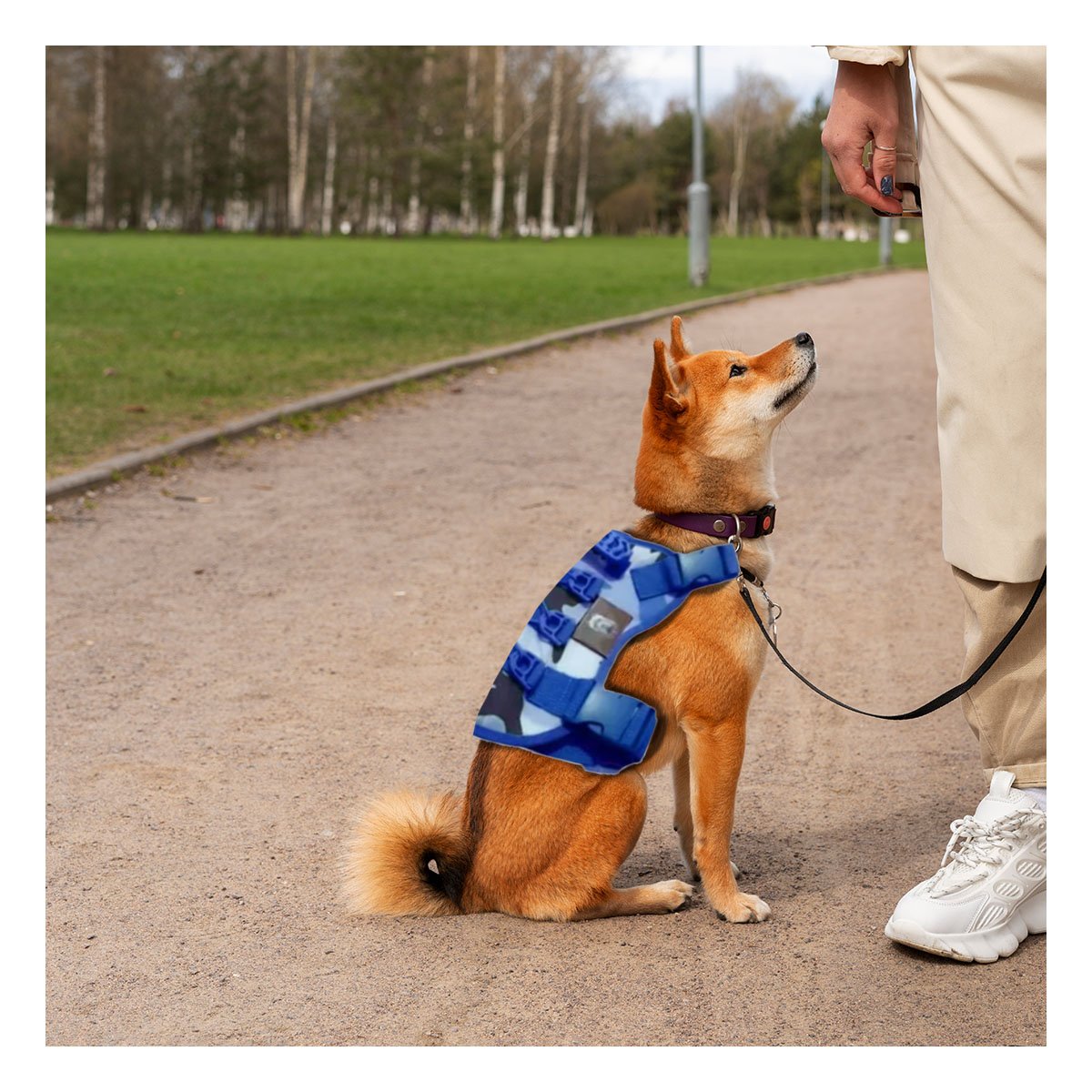 PACK4 ARNES AJUSTABLE PARA PERRO AZUL TALLA M MODELO TACTICO - 3