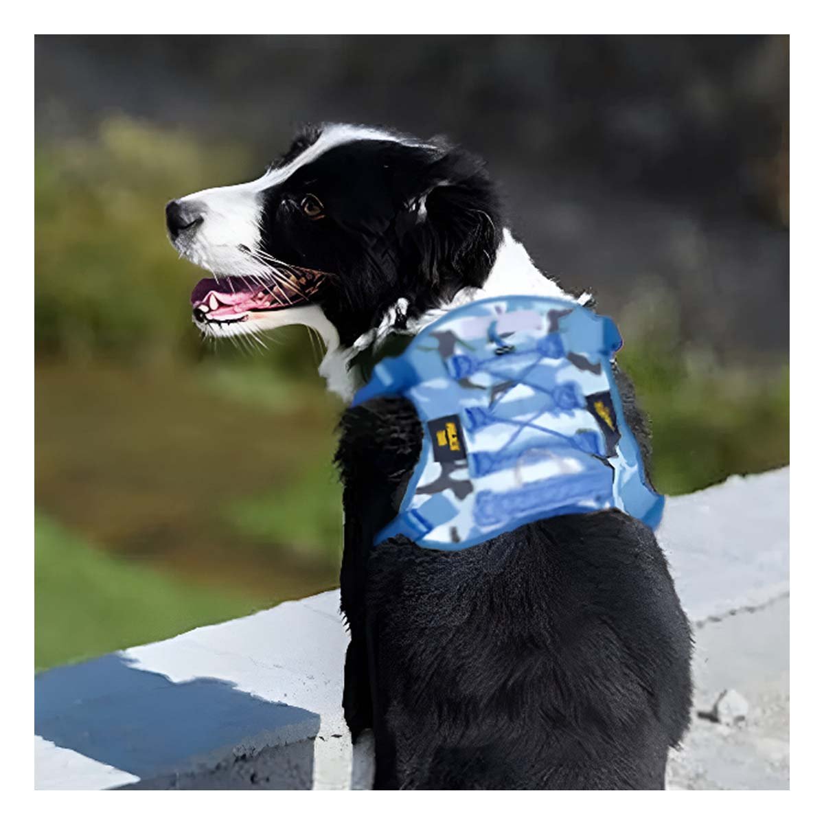 EQUIPO CANINO AZUL TALLA S MODELO TACTICO DURABLE - 2