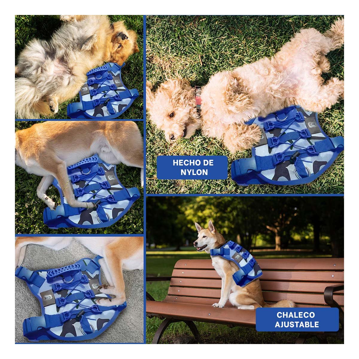ARNES RESISTENTE PARA PERRO AZUL TALLA M CON AJUSTE FIRME Y+LIGAS REGALO - 5