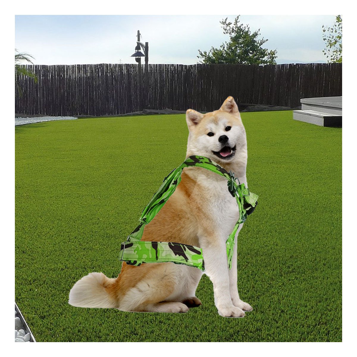 EQUIPO CANINO DOG STRONG VERDE CLARO TALLA S SEGURO - 2