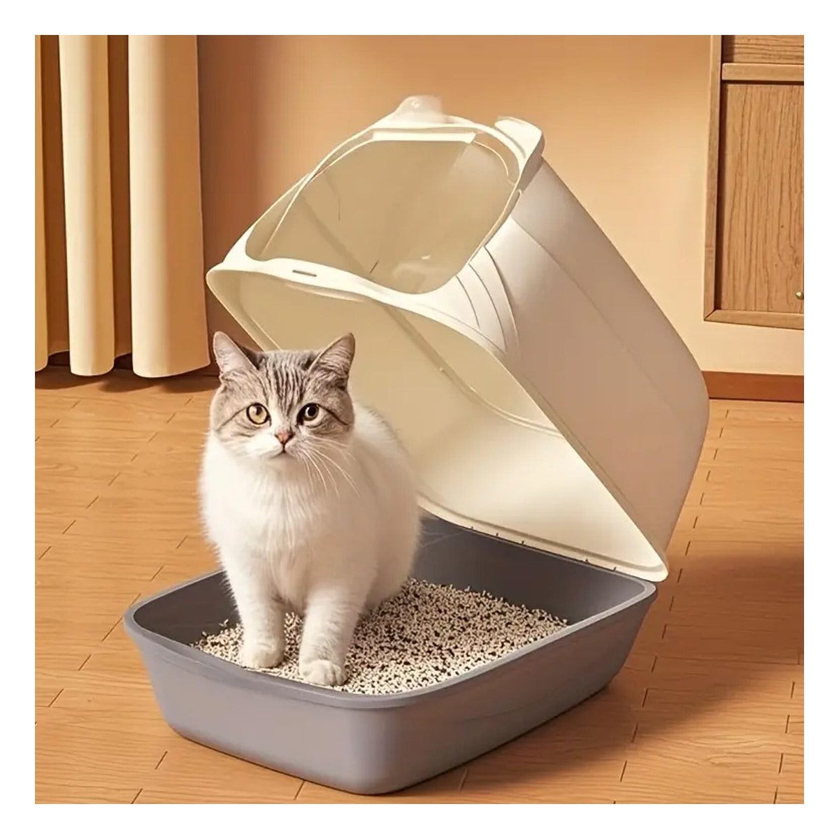 PACK4 BANO PLOMO CON OREJITAS Y TAPA CERRADA PARA GATO Y+PAPEL REGALO - 5