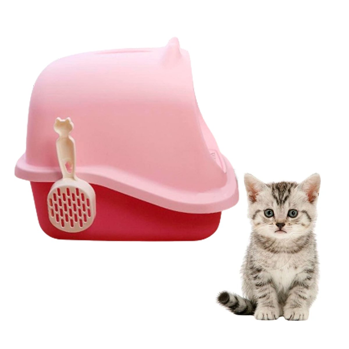 PACK6 SANITARIO PARA GATO CON OREJITAS Y CUBIERTA SUPERIOR RESISTENTE Y+REGALO STICKER - 2