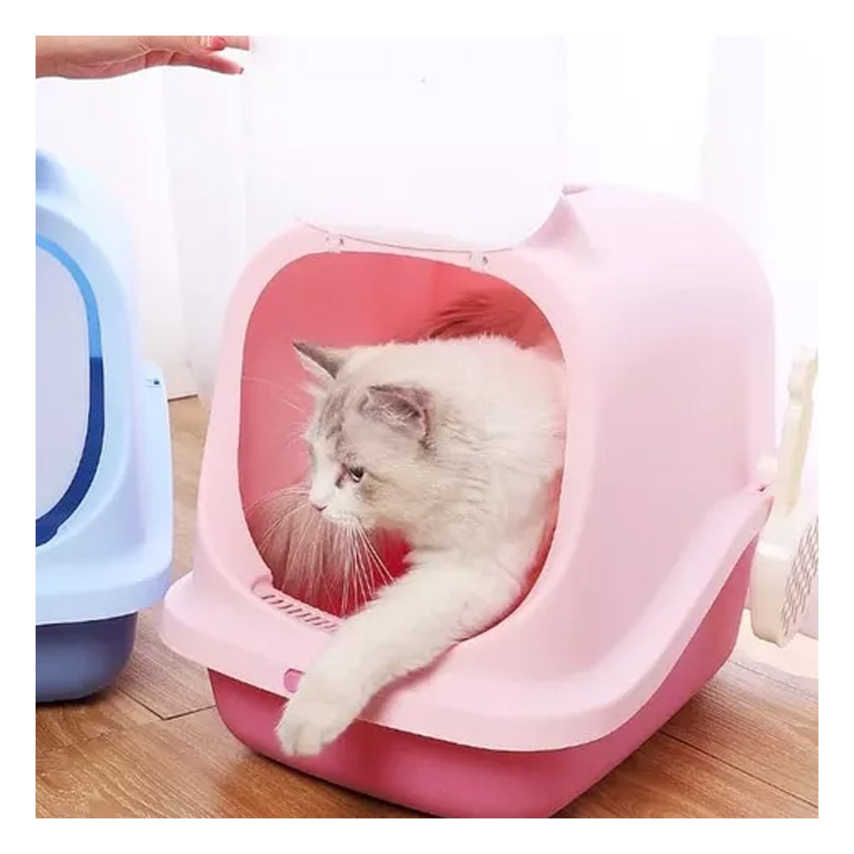 PACK4 SANITARIO MODERNO CON OREJITAS DE GATO PARA CASA - 2