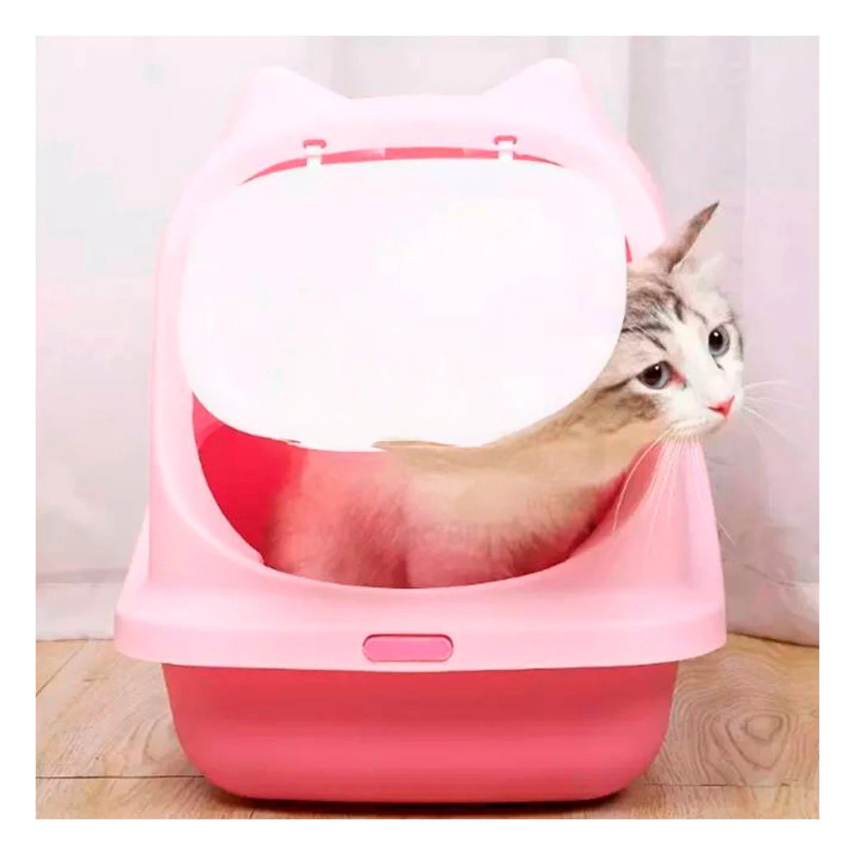 PACK6 BANDEJA HIGIENICA CERRADA CON OREJITAS DE GATO PARA USO DIARIO Y+PAPEL REGALO - 2