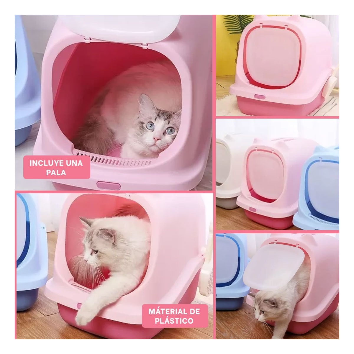 PACK6 BANDEJA HIGIENICA CERRADA CON OREJITAS DE GATO PARA USO DIARIO Y+PAPEL REGALO - 3