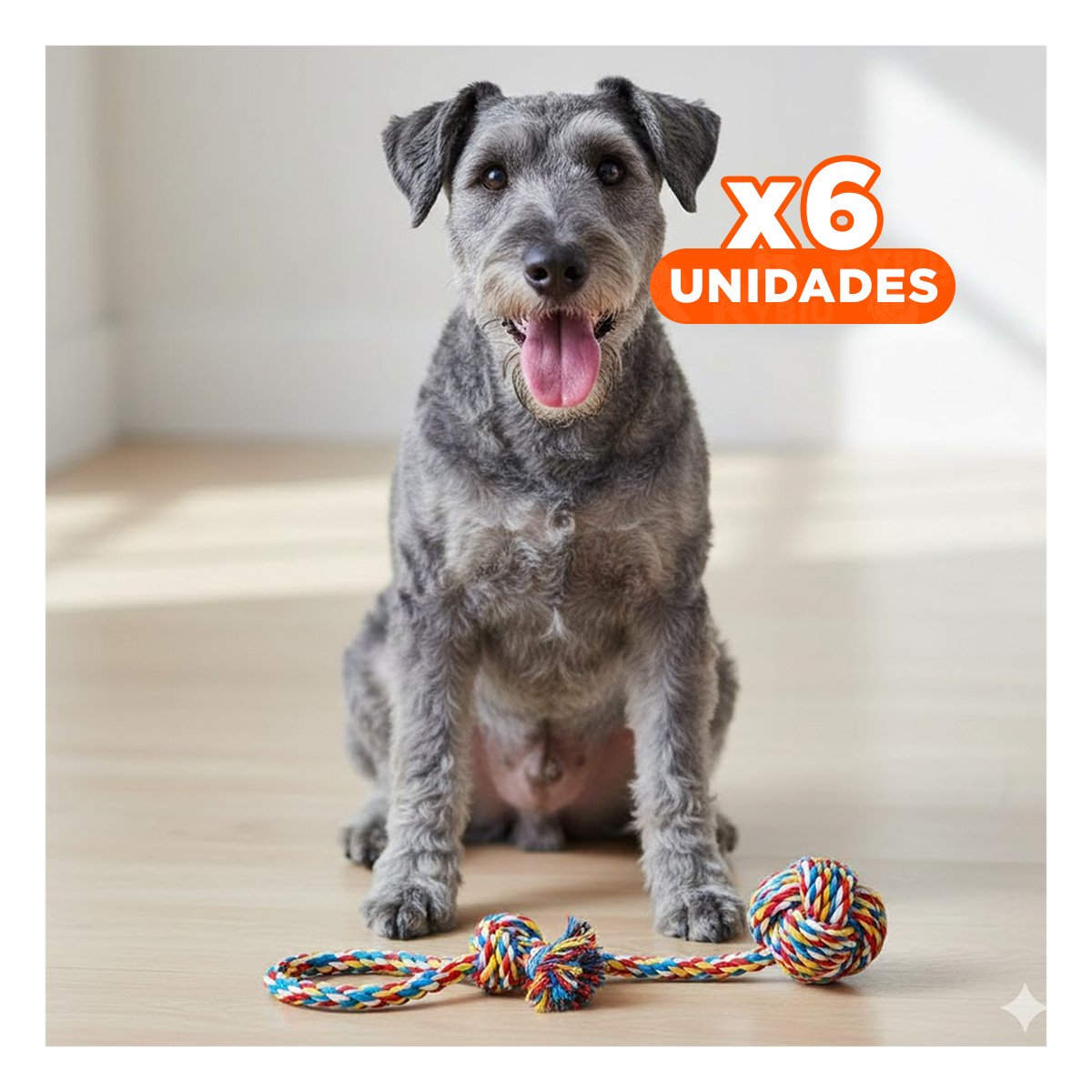 PACK6 OBJETO INTERACTIVO PARA MASCOTAS PARA JUEGOS AL AIRE LIBRE MULTICOLOR Y+REGALO STICKER - 1