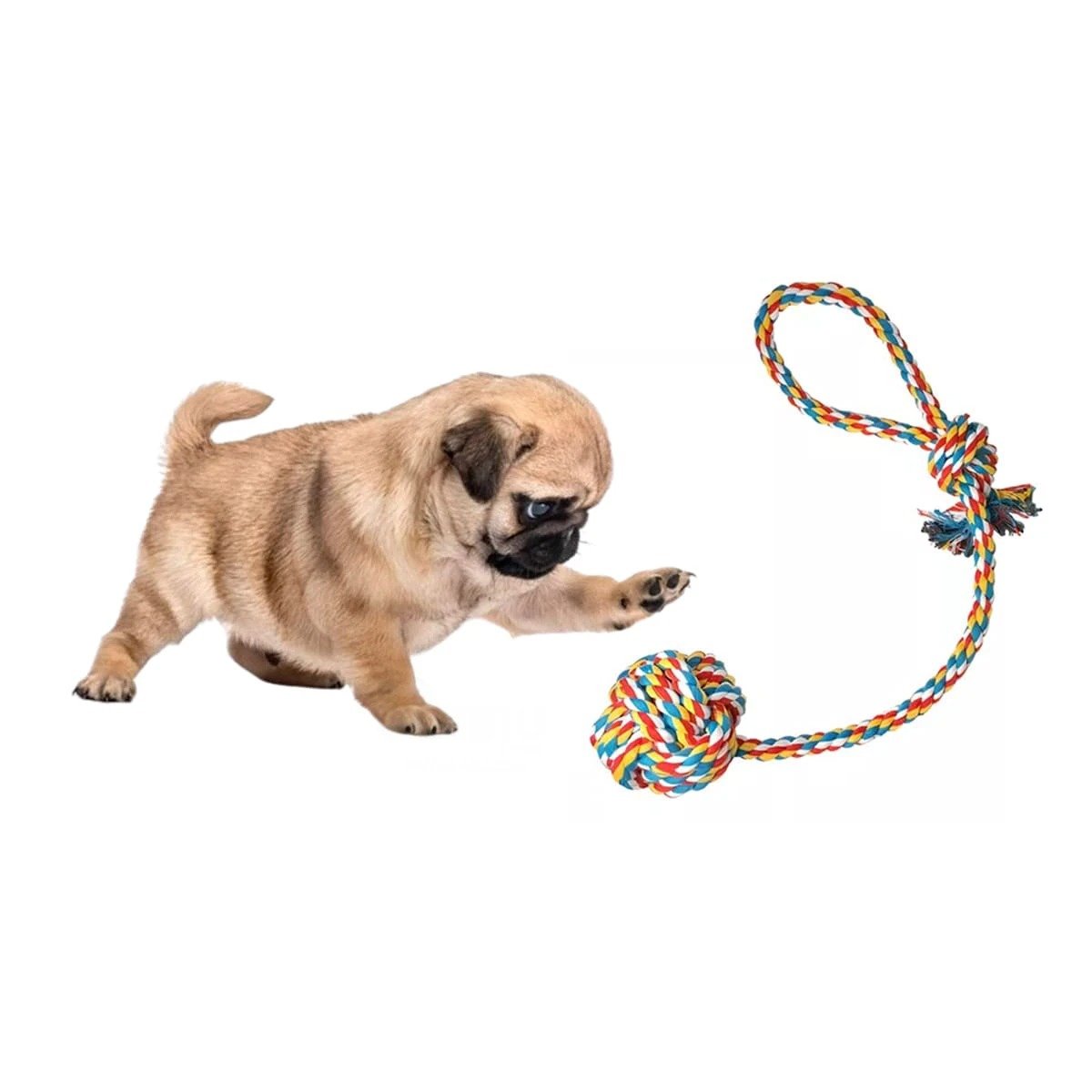 PACK6 OBJETO INTERACTIVO PARA MASCOTAS PARA JUEGOS AL AIRE LIBRE MULTICOLOR Y+REGALO STICKER - 2