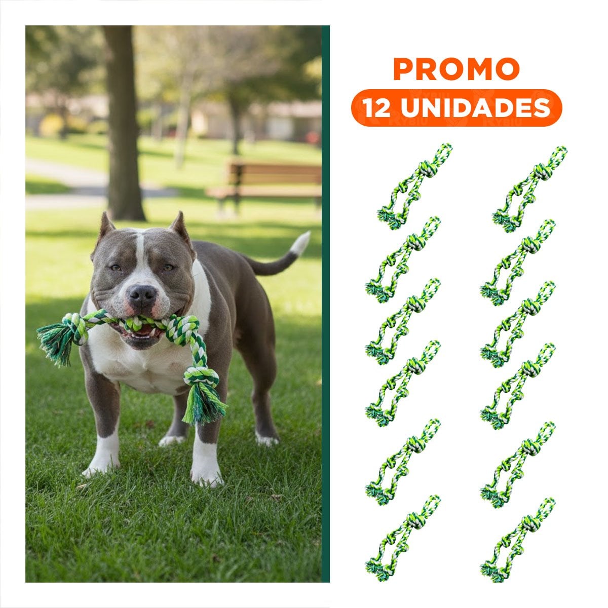 PACK12 LIANA DIVERTIDA QUE FORTALECE FUERZA Y DIENTES VERDE Y+REGALO STICKER - 1