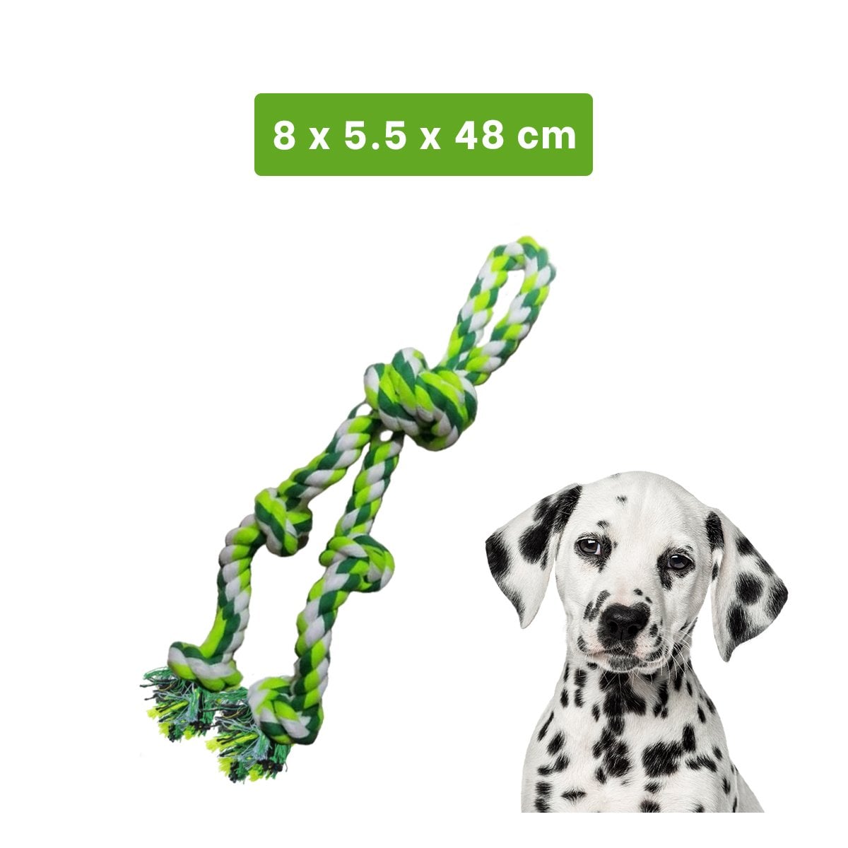 PACK12 LIANA DIVERTIDA QUE FORTALECE FUERZA Y DIENTES VERDE Y+REGALO STICKER - 4