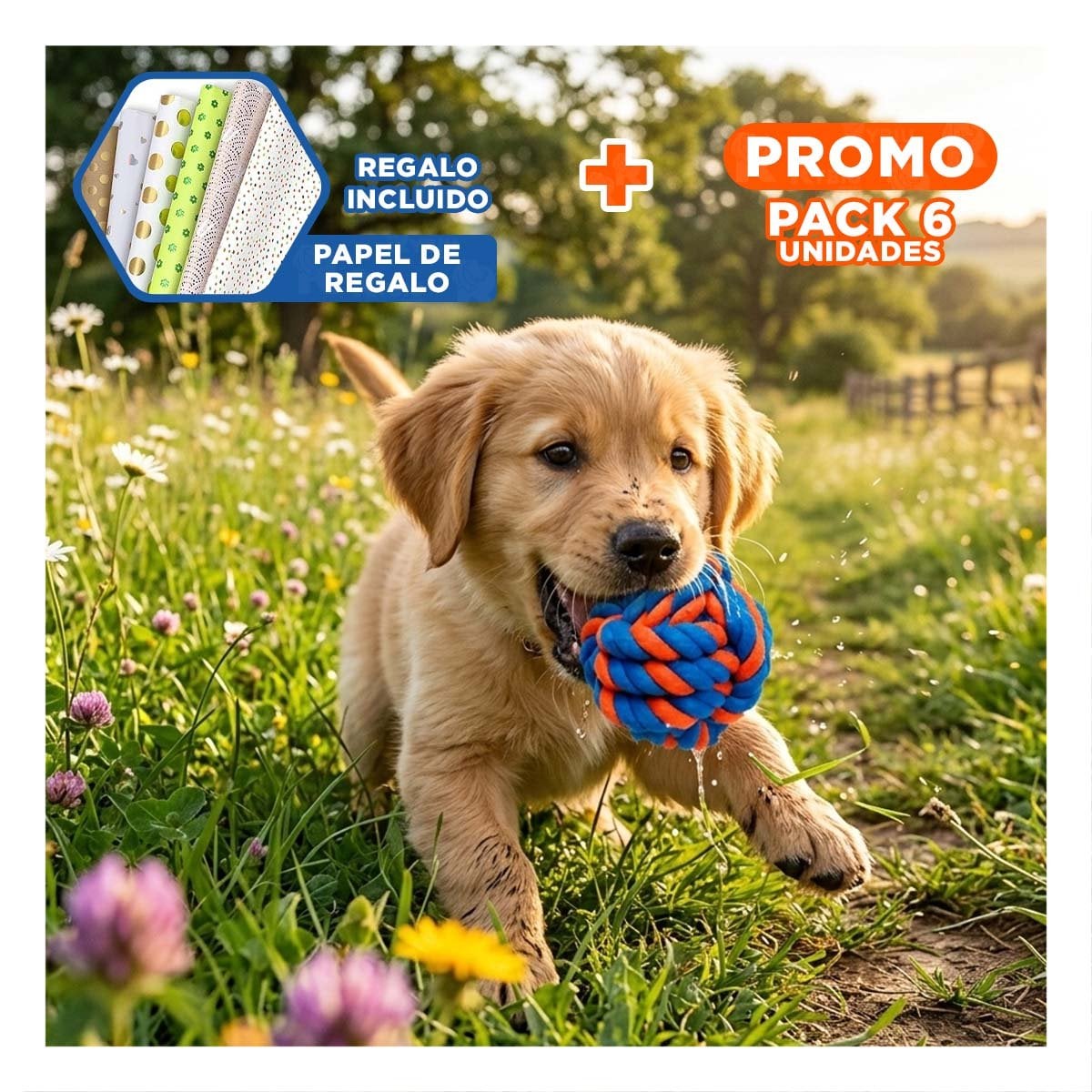 PACK6 BOLA RESISTENTE QUE MANTIENE FELICES Y ACTIVOS A MASCOTAS AZUL NARANJA Y+PAPEL REGALO - 1