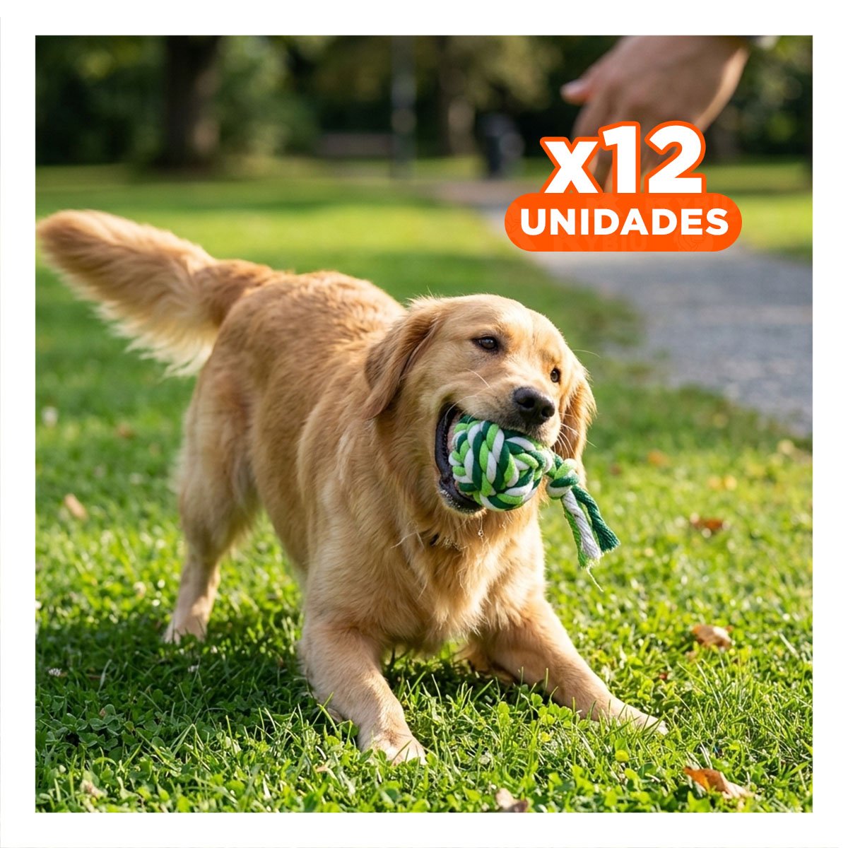 PACK12 HERRAMIENTA DIVERTIDA QUE MANTIENE ALEGRES Y ACTIVOS A PERROS VERDE - 1