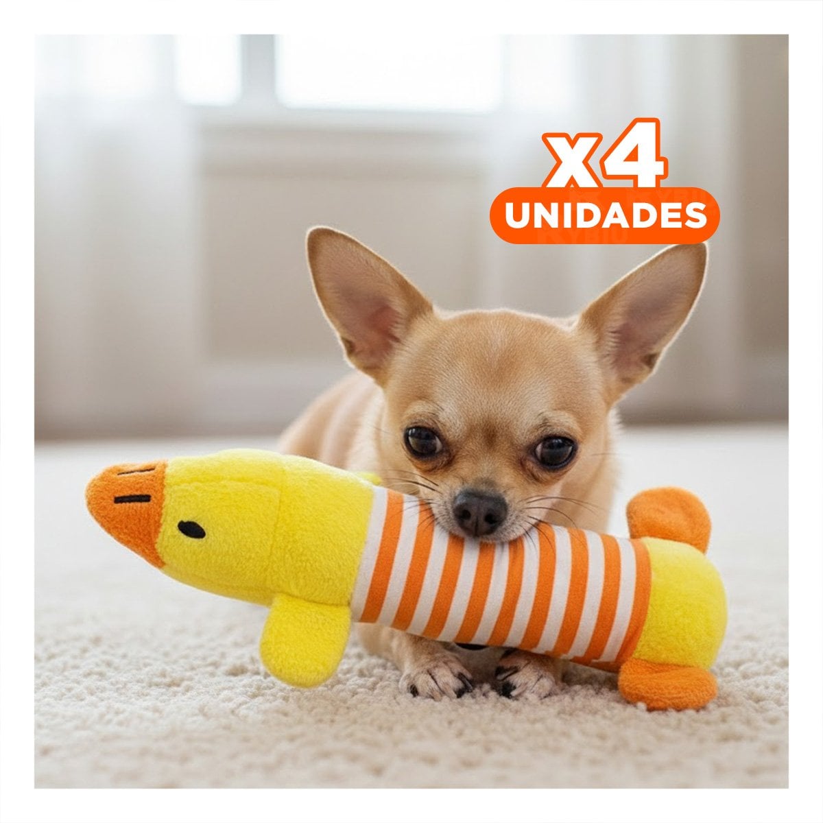 PACK4 ANIMAL PATO QUE ESTIMULA MOVIMIENTO Y JUEGO AMARRILLO Y NARANJA - 1