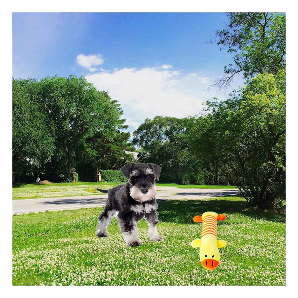 PACK4 ANIMAL PATO QUE ESTIMULA MOVIMIENTO Y JUEGO AMARRILLO Y NARANJA - 5