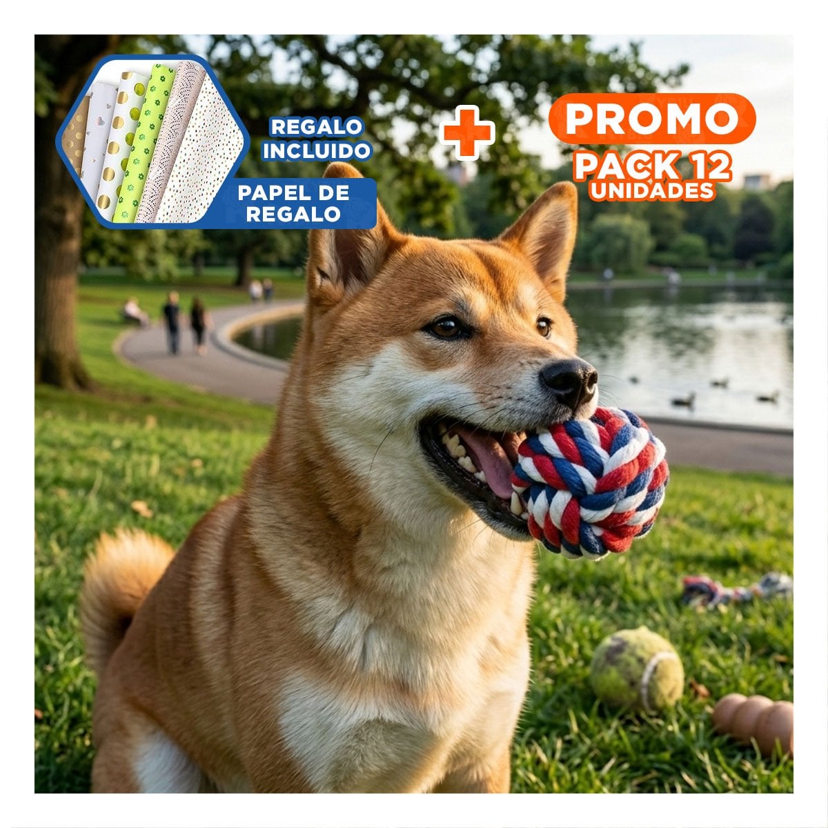 PACK12 BALON RESISTENTE PARA JUEGOS PROLONGADOS Y COORDINACION AZUL BLANCO ROJO Y+PAPEL REGALO - 1