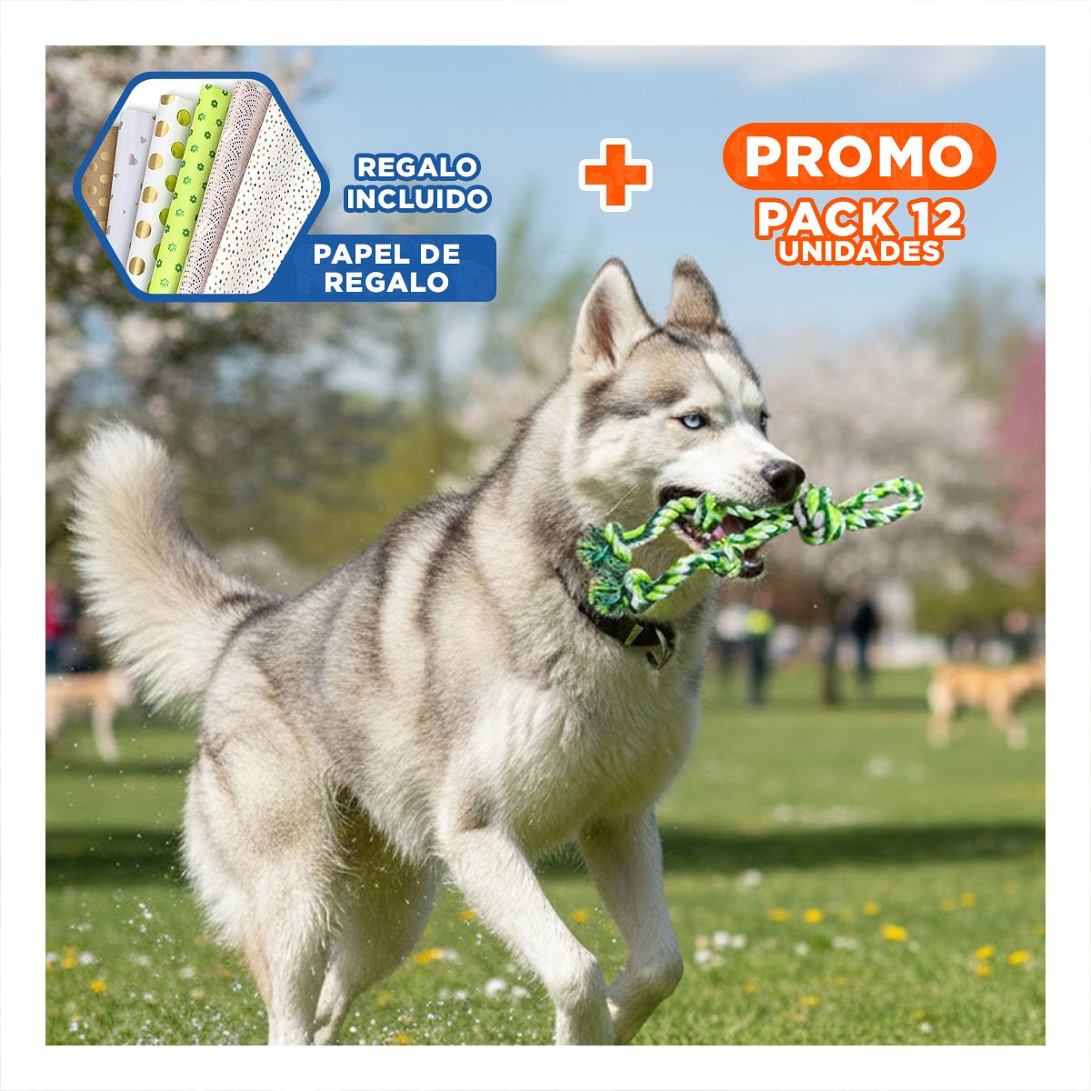 PACK12 LIANA DE ENTRENAMIENTO QUE MANTIENE ACTIVOS A PERROS VERDE Y+PAPEL REGALO - 1