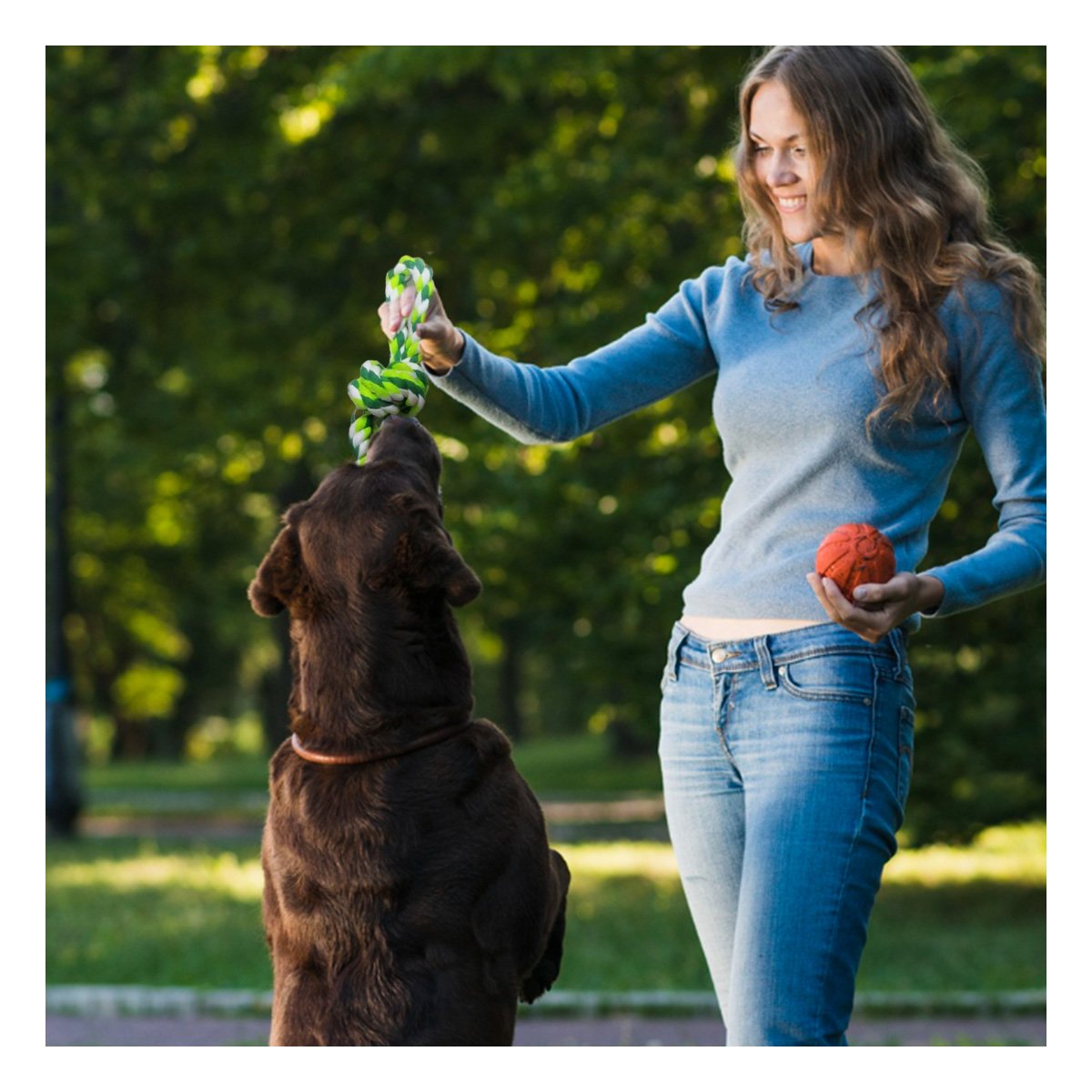 PACK12 LIANA DE ENTRENAMIENTO QUE MANTIENE ACTIVOS A PERROS VERDE Y+PAPEL REGALO - 5