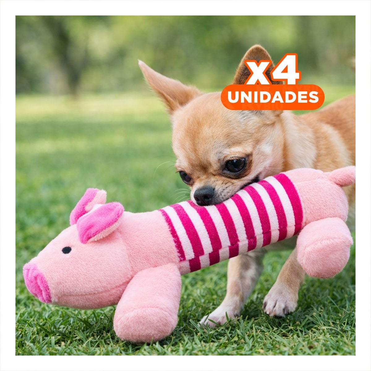 PACK4 ALIADO CHANCHO QUE ESTIMULA DIVERSION Y MOVIMIENTO ROSADO Y FUCSIA - 1