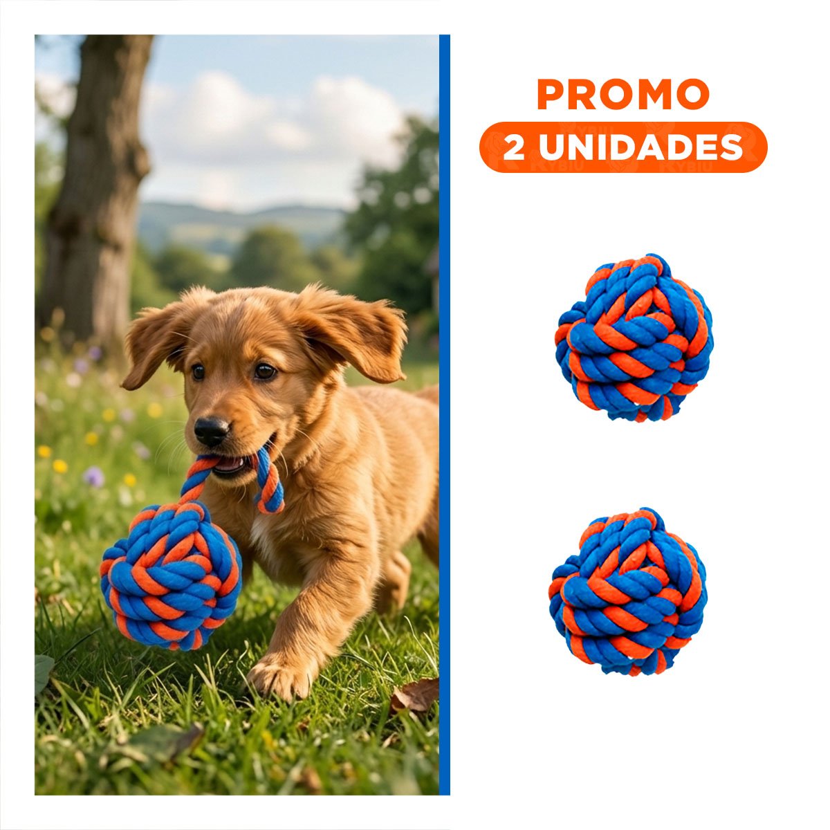 PACK2 HERRAMIENTA DE SOGA TRENZADA QUE INCENTIVA ACTIVIDAD Y DIVERSION AZUL NARANJA - 1