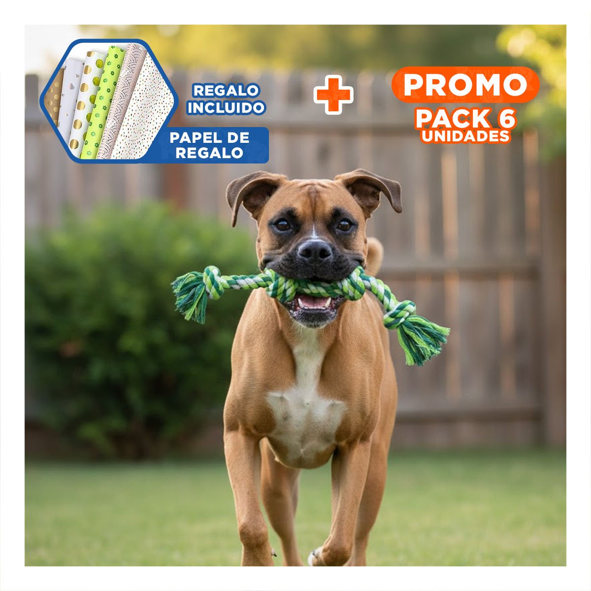 PACK6 TIRA RESISTENTE PARA TIRONES Y MORDIDAS FUERTES VERDE Y+PAPEL REGALO - 1