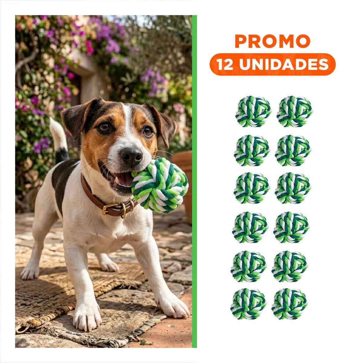 PACK12 COMPLEMENTO DE ENTRENAMIENTO QUE MEJORA ENERGIA Y ACTIVIDAD VERDE Y+REGALO STICKER - 1
