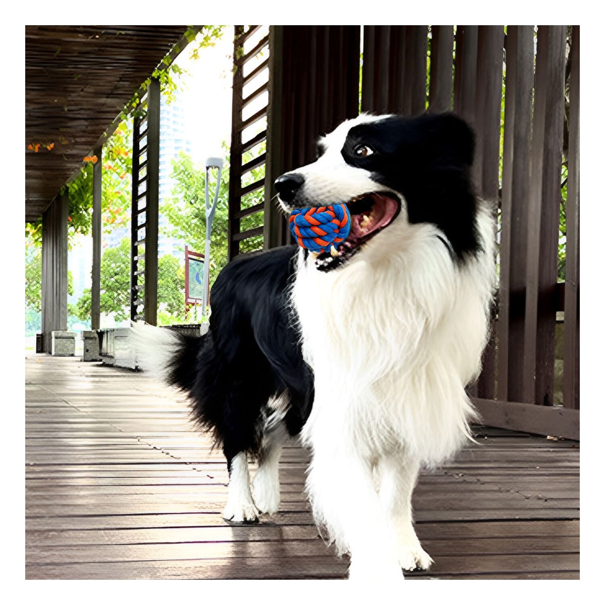 PACK2 HERRAMIENTA INTERACTIVA QUE FORTALECE ENERGIA DE MASCOTAS AZUL NARANJA Y+PAPEL REGALO - 5