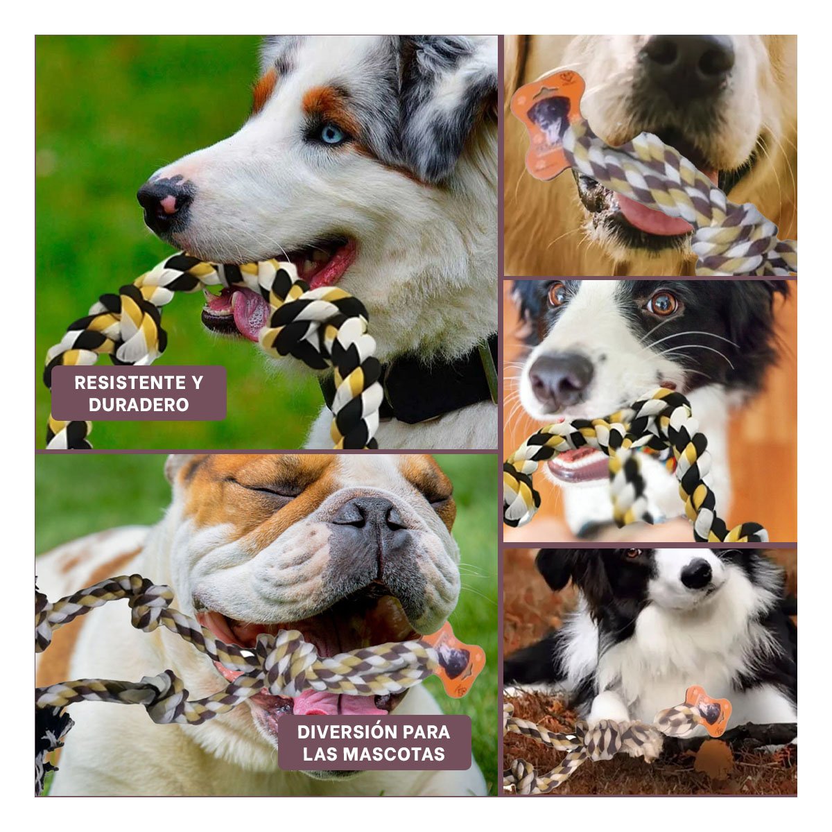 PACK4 TIRA DE DIVERSION QUE MANTIENE ACTIVOS Y ALEGRES A LOS PERROS MARRON Y+REGALO STICKER - 2