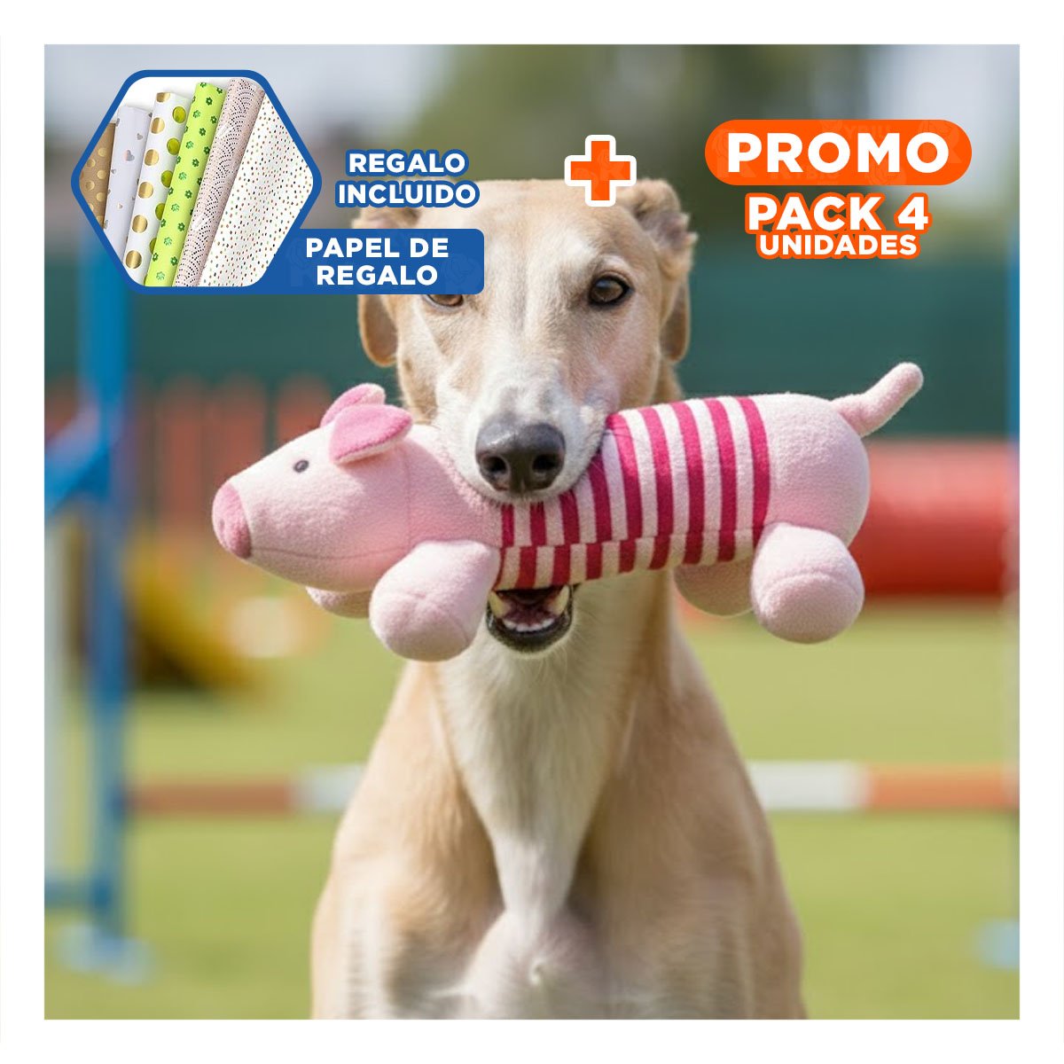 PACK4 ALIADO CHANCHO PARA MASCOTAS ACTIVAS ROSADO Y FUCSIA Y+PAPEL REGALO - 1
