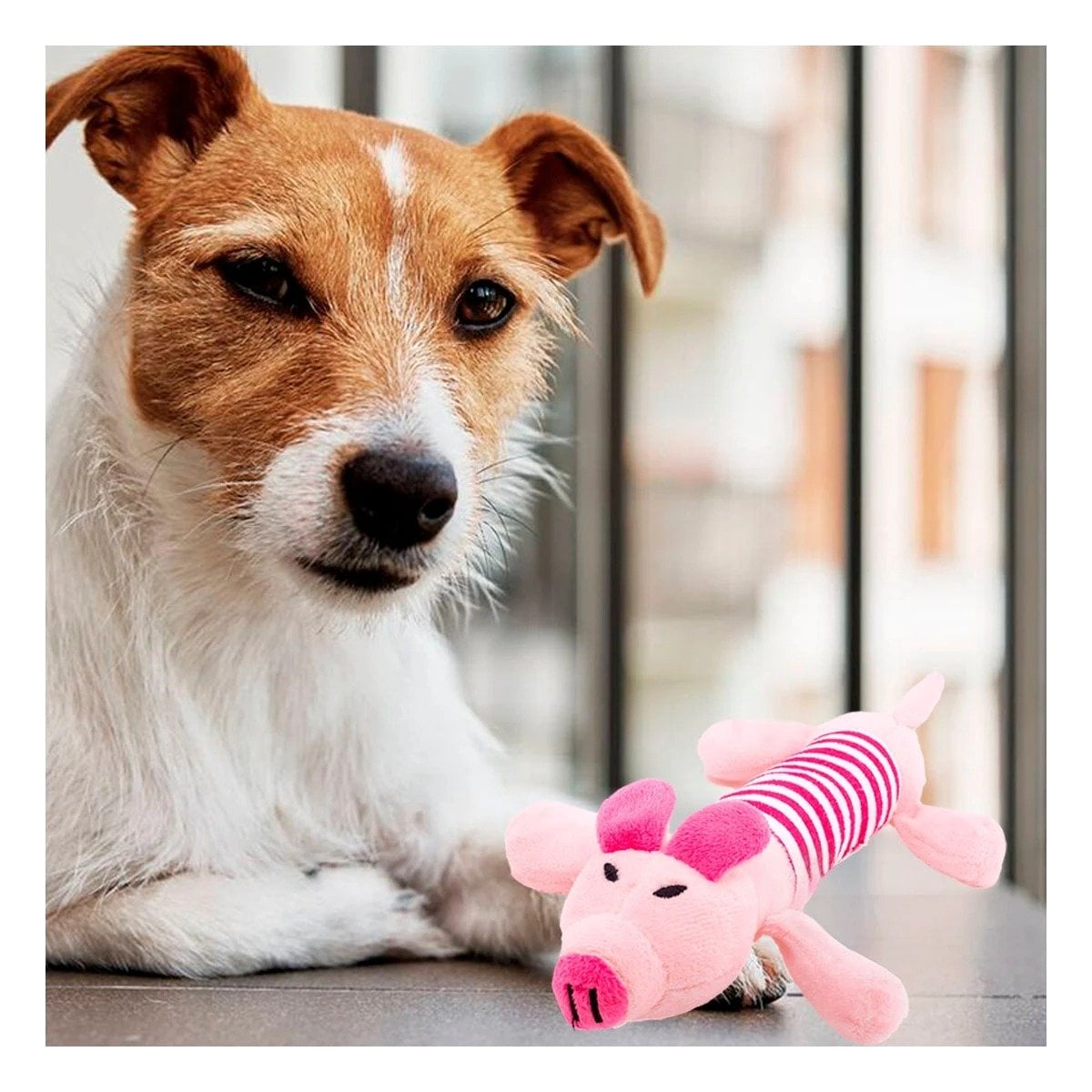 PACK4 ALIADO CHANCHO PARA MASCOTAS ACTIVAS ROSADO Y FUCSIA Y+PAPEL REGALO - 2