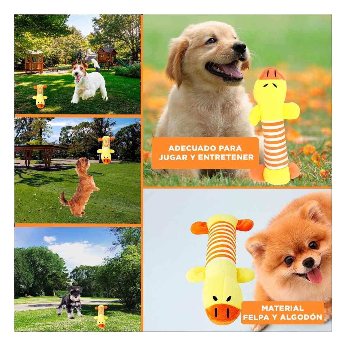 PACK4 TIERNO PATO QUE INVITA A JUGAR AMARRILLO Y NARANJA Y+REGALO STICKER - 2