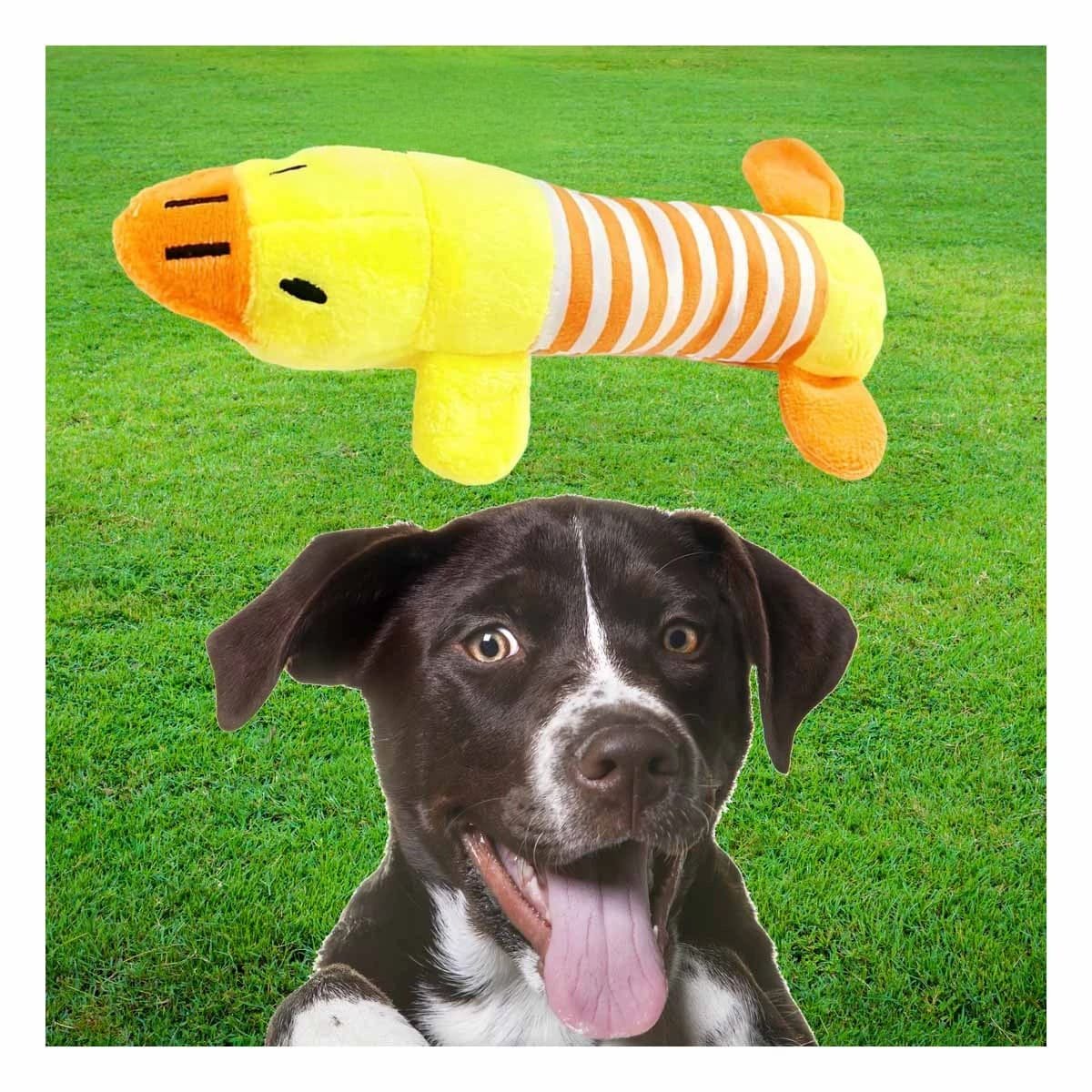 PACK4 TIERNO PATO QUE INVITA A JUGAR AMARRILLO Y NARANJA Y+REGALO STICKER - 3