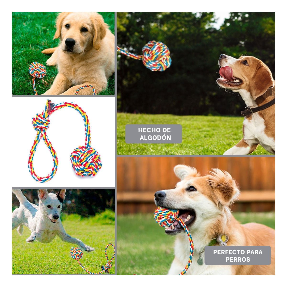 PACK12 COMPLEMENTO DE ACTIVIDAD PARA PERROS PARA EJERCICIOS DIARIOS MULTICOLOR Y+PAPEL REGALO - 2