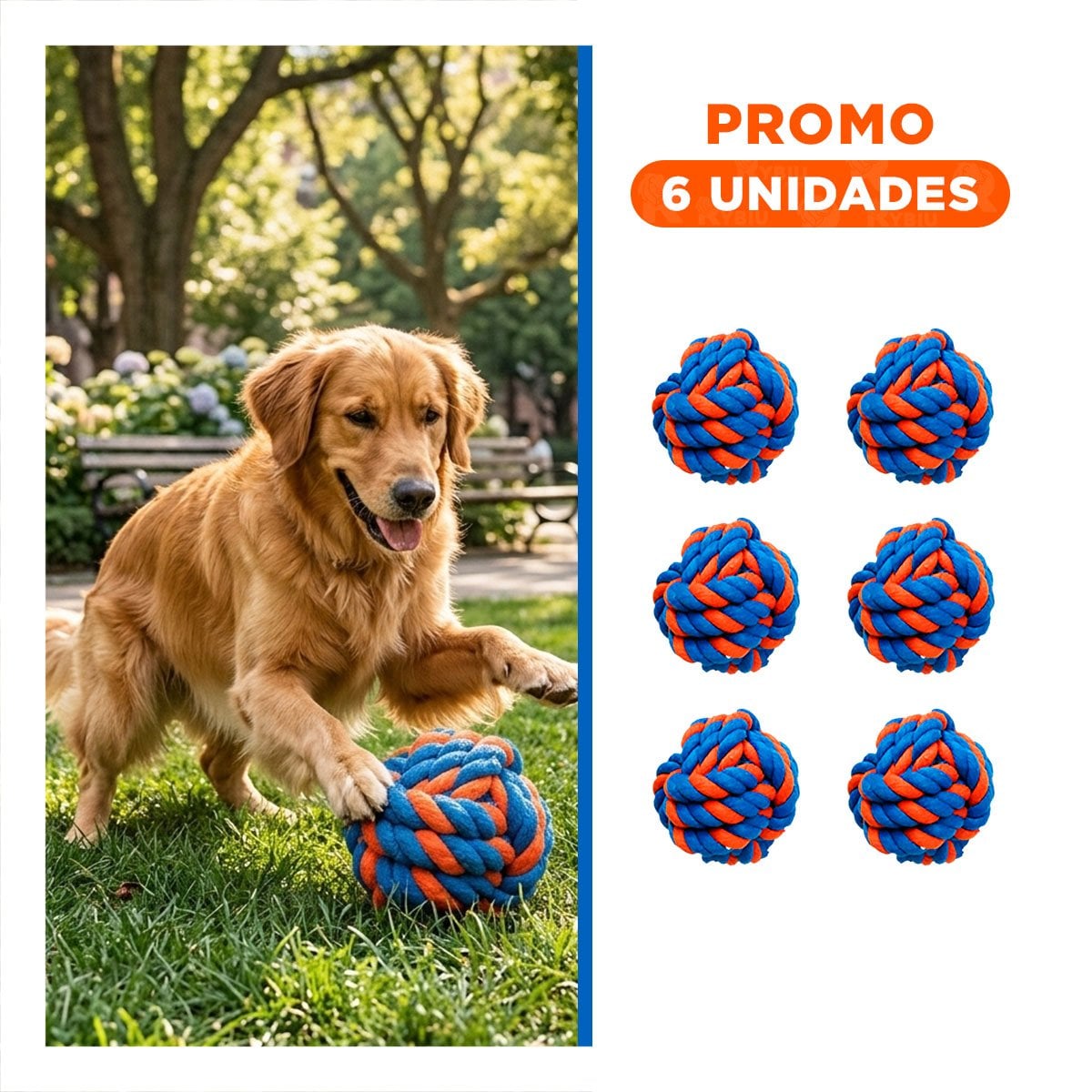 PACK6 BOLA INTERACTIVA QUE MEJORA ACTIVIDAD Y JUEGO AZUL NARANJA - 1