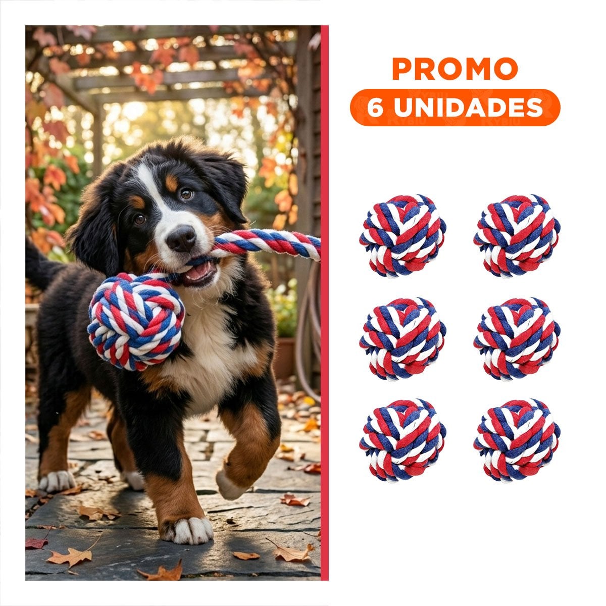 PACK6 CIRCULO INTERACTIVO QUE FORTALECE DIENTES Y ENERGIA DE MASCOTAS AZUL BLANCO ROJO - 1