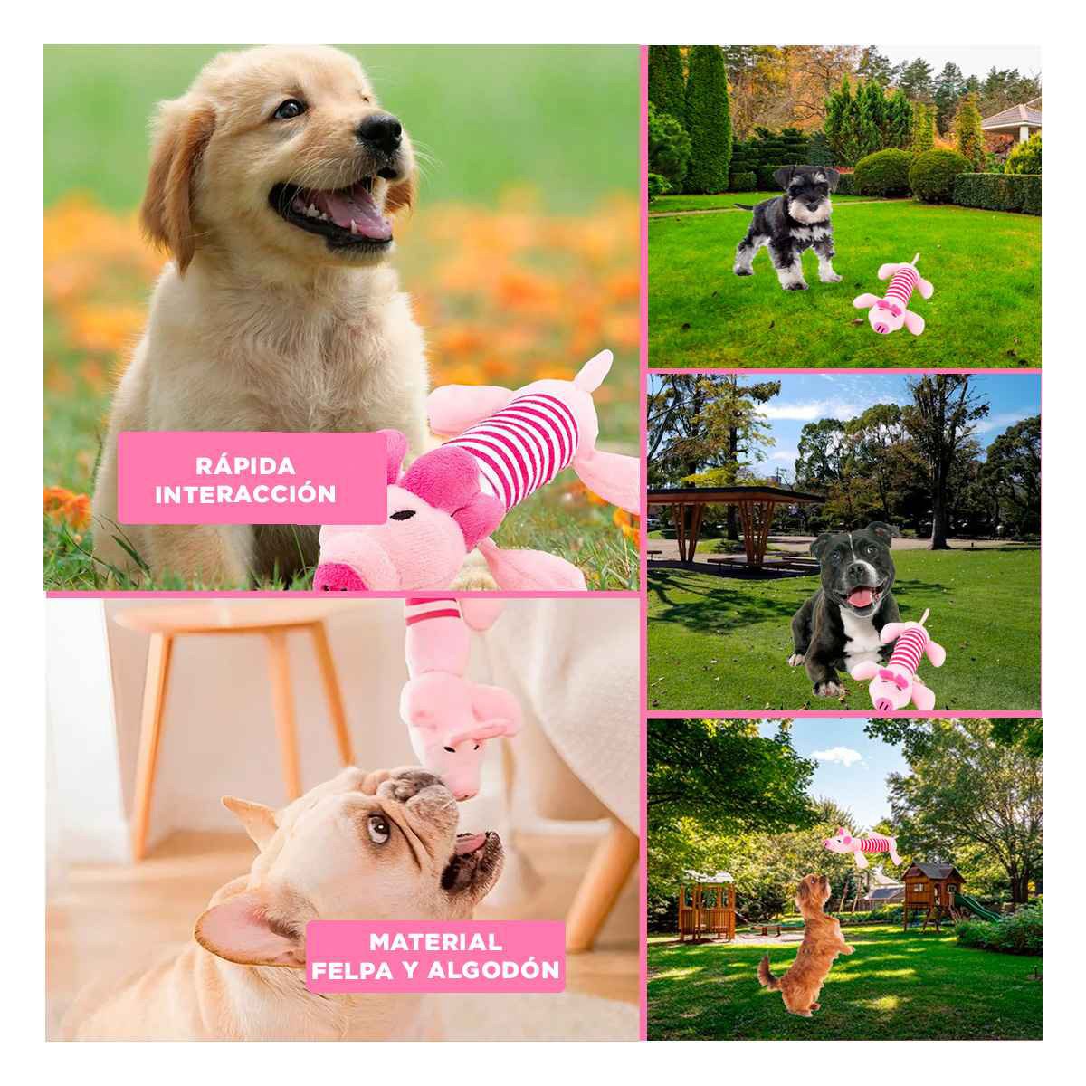 PACK4 COLEGA CHANCHO PARA MASCOTAS Y DIVERSION ROSADO Y FUCSIA Y+REGALO STICKER - 2