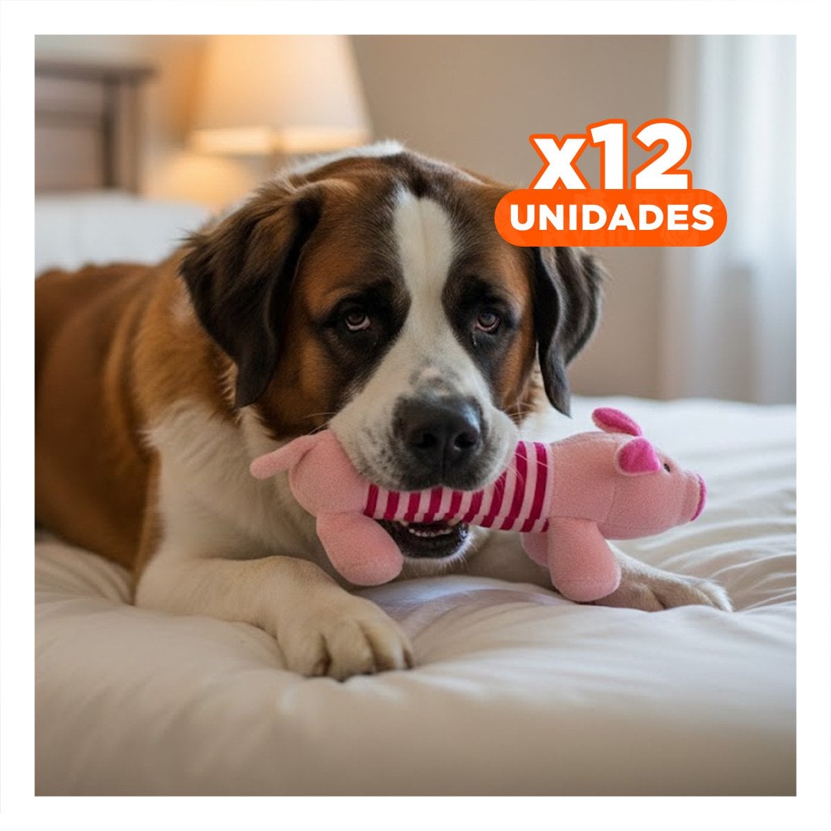 PACK12 COLEGA CHANCHO PARA MOMENTOS ALEGRES ROSADO Y FUCSIA - 1