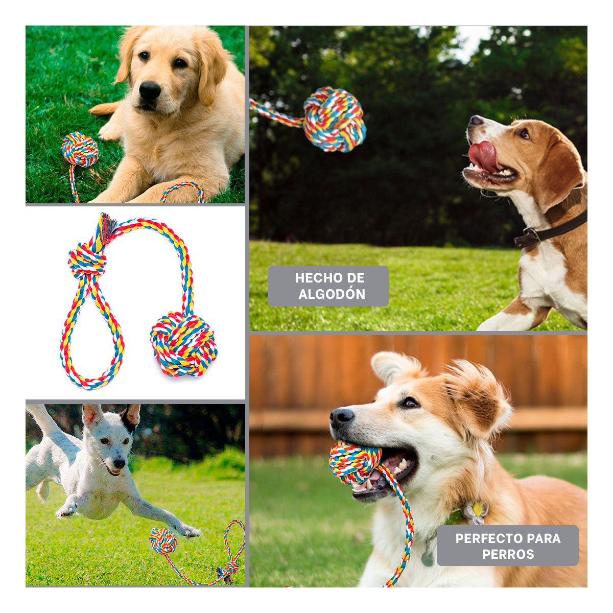 PACK2 ARTICULO DE ENTRETENIMIENTO PARA PERROS PARA JUEGOS DIVERTIDOS MULTICOLOR Y+PAPEL REGALO - 3