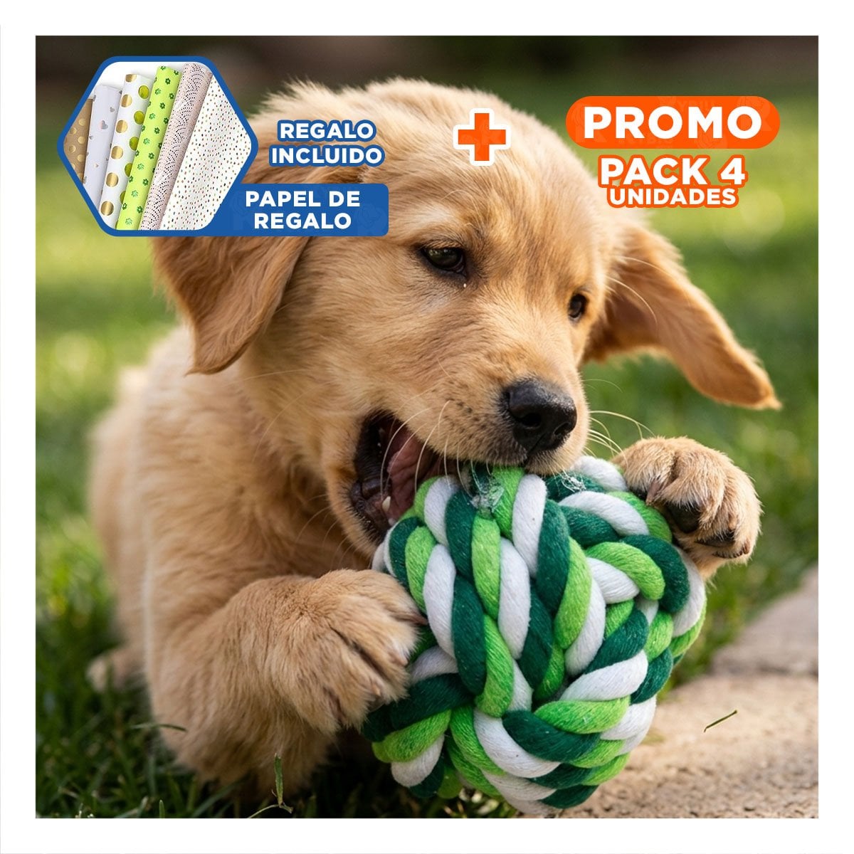 PACK4 BOLA DIVERTIDA QUE MANTIENE ALEGRES Y ACTIVOS A MASCOTAS VERDE Y+PAPEL REGALO - 1