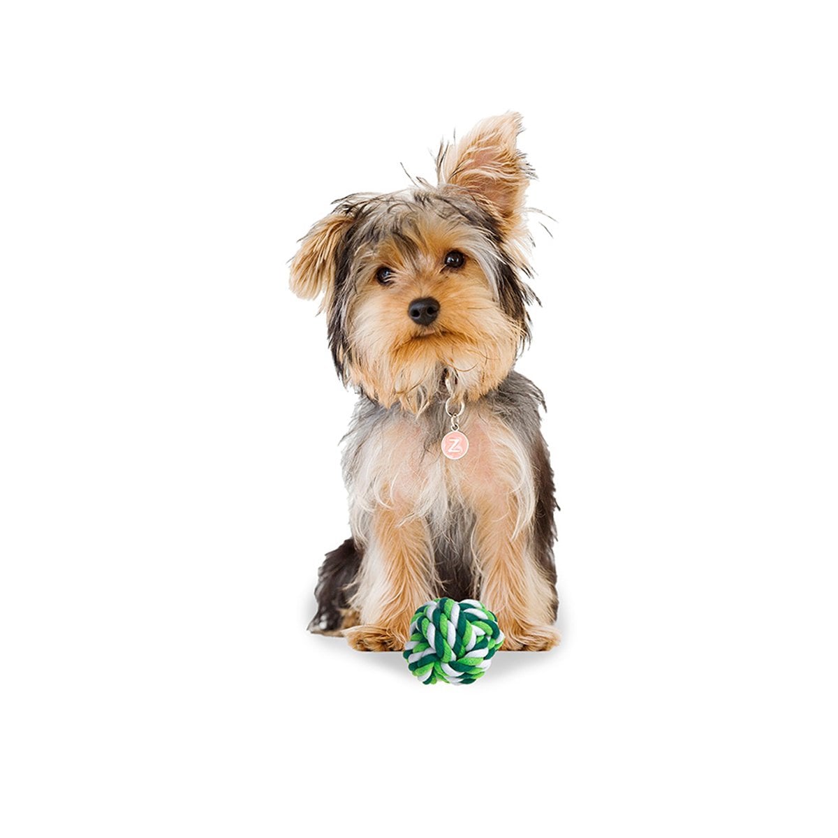 PACK4 BOLA DIVERTIDA QUE MANTIENE ALEGRES Y ACTIVOS A MASCOTAS VERDE Y+PAPEL REGALO - 3
