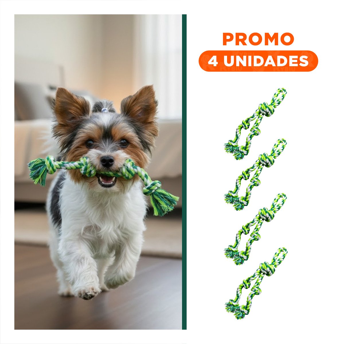 PACK4 TIRA DE JUEGO QUE MANTIENE ACTIVOS Y FELICES A PERROS VERDE Y+REGALO STICKER - 1