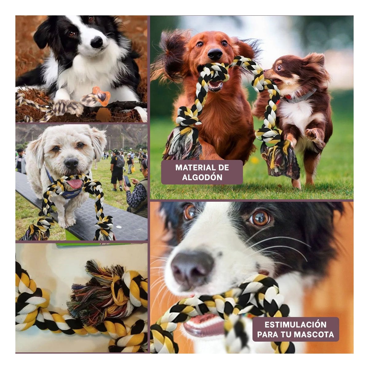 PACK2 CINTA INTERACTIVA QUE MANTIENE ACTIVOS Y FELICES A LOS PERROS MARRON Y+PAPEL REGALO - 3
