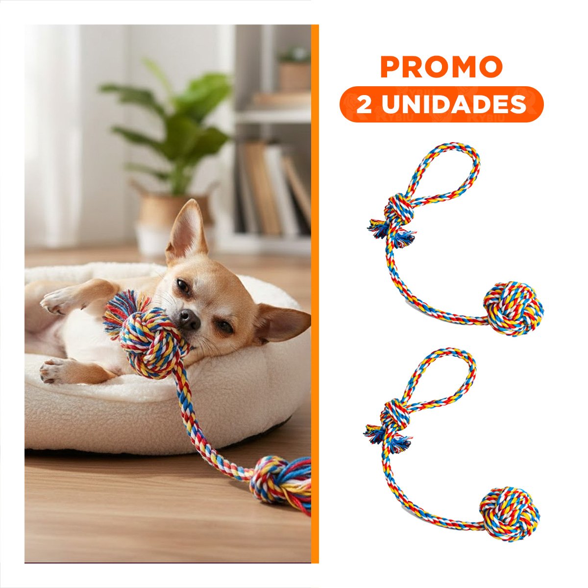 PACK2 ARTICULO DE ENTRETENIMIENTO CANINO CON PELOTA Y SOGA MULTICOLOR - 1