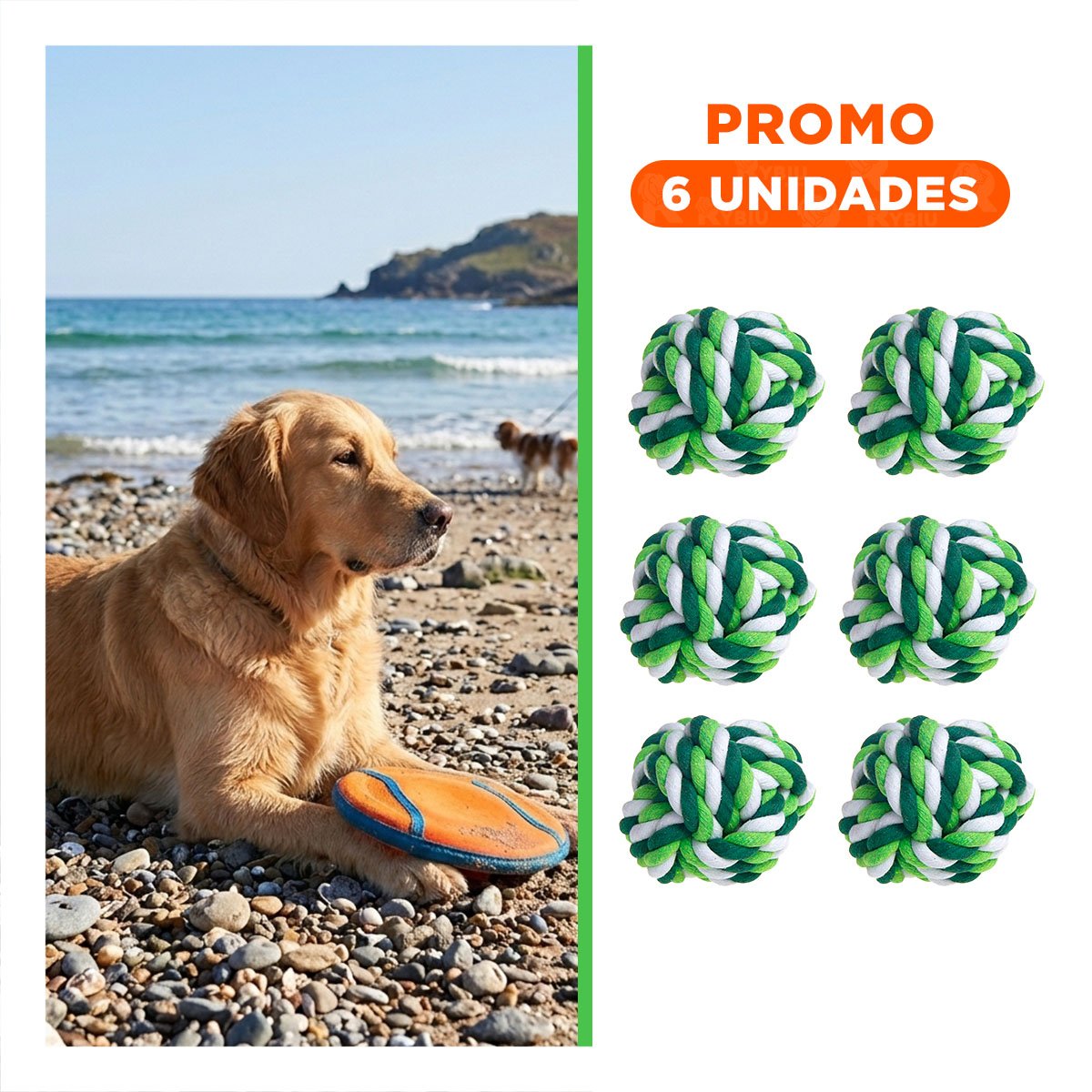 PACK6 HERRAMIENTA INTERACTIVA QUE FORTALECE DIENTES Y ENERGIA VERDE - 1